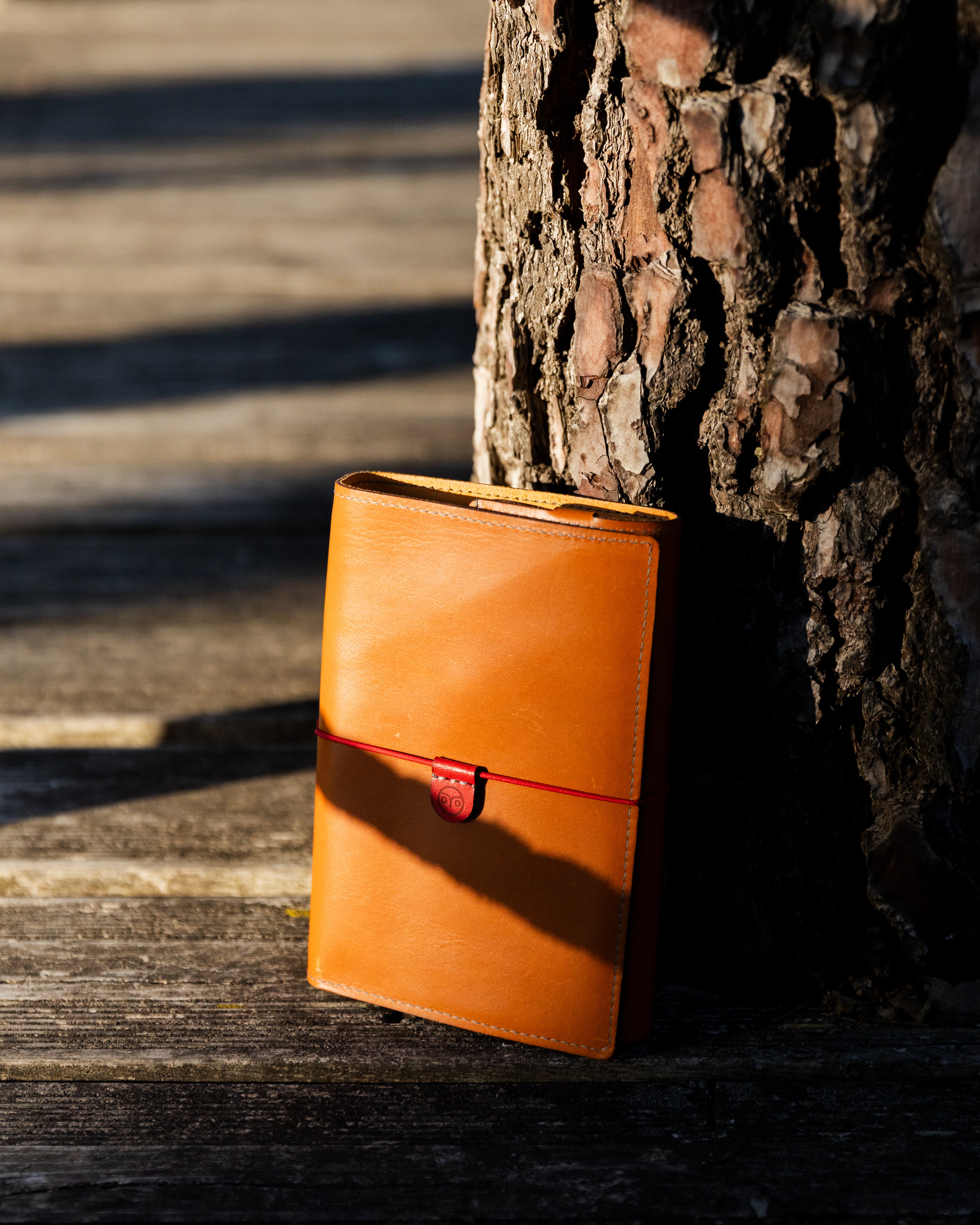 Describes the appearance of the image